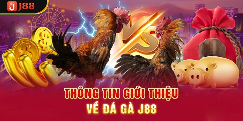 Thông tin về đá gà J88